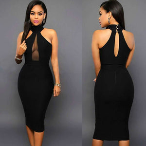 Women Sleeveless Silk Bodycon Dress